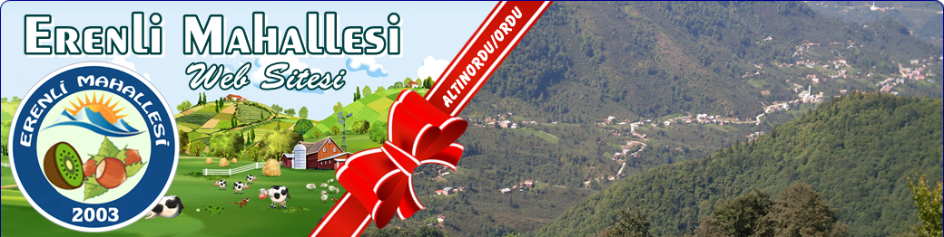 Erenli Mahallesi Web Sitesi